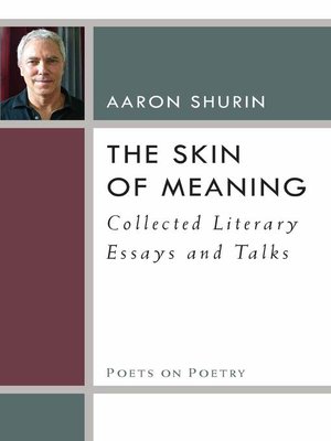 cover image of Skin of Meaning